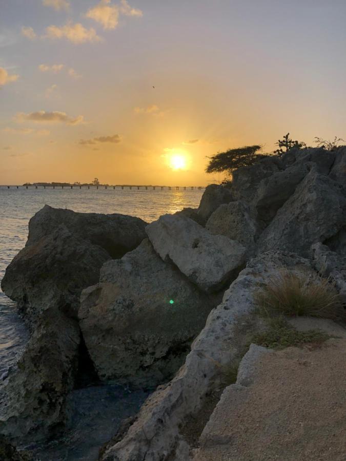 Palmhouse Apartments Aruba 1- 4 Persons Savaneta Buitenkant foto