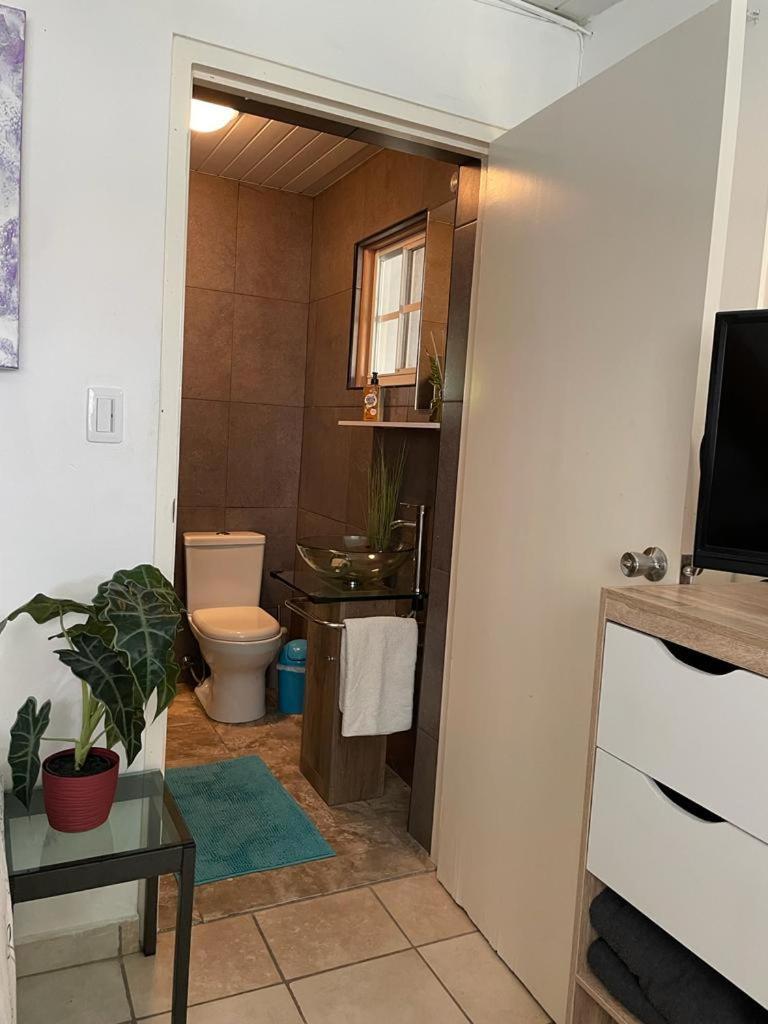 Palmhouse Apartments Aruba 1- 4 Persons Savaneta Buitenkant foto