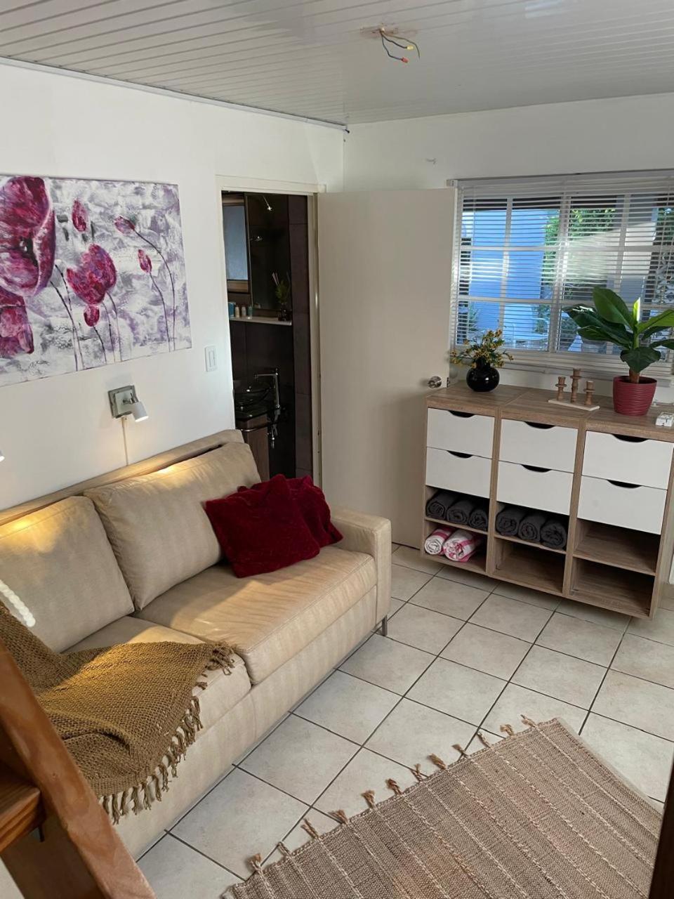 Palmhouse Apartments Aruba 1- 4 Persons Savaneta Buitenkant foto