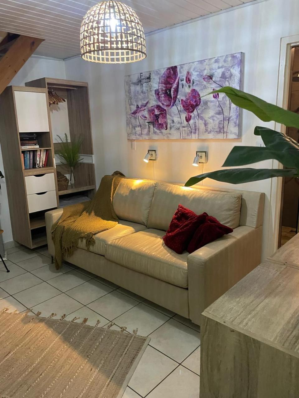Palmhouse Apartments Aruba 1- 4 Persons Savaneta Buitenkant foto